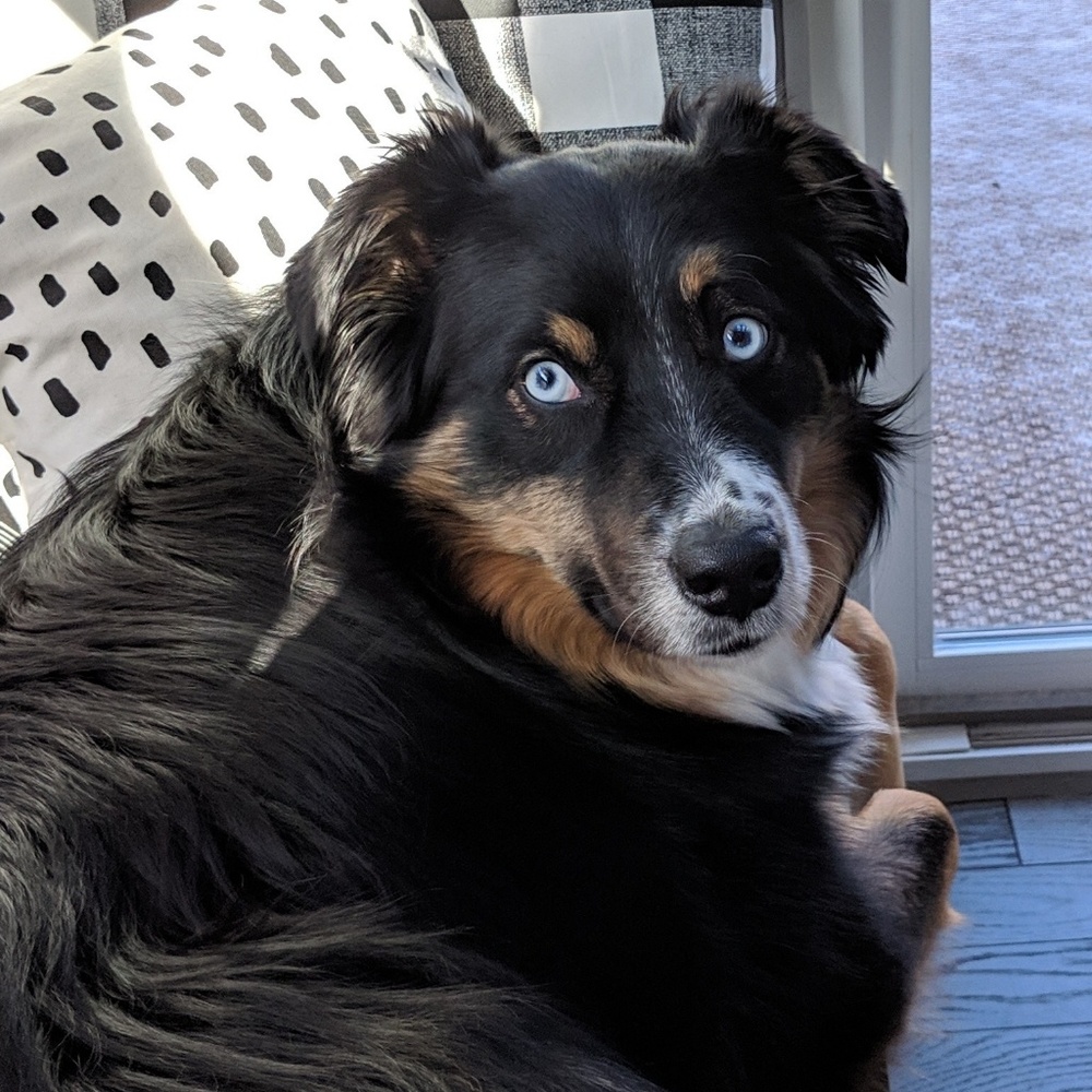 Meet your Posher, Christina